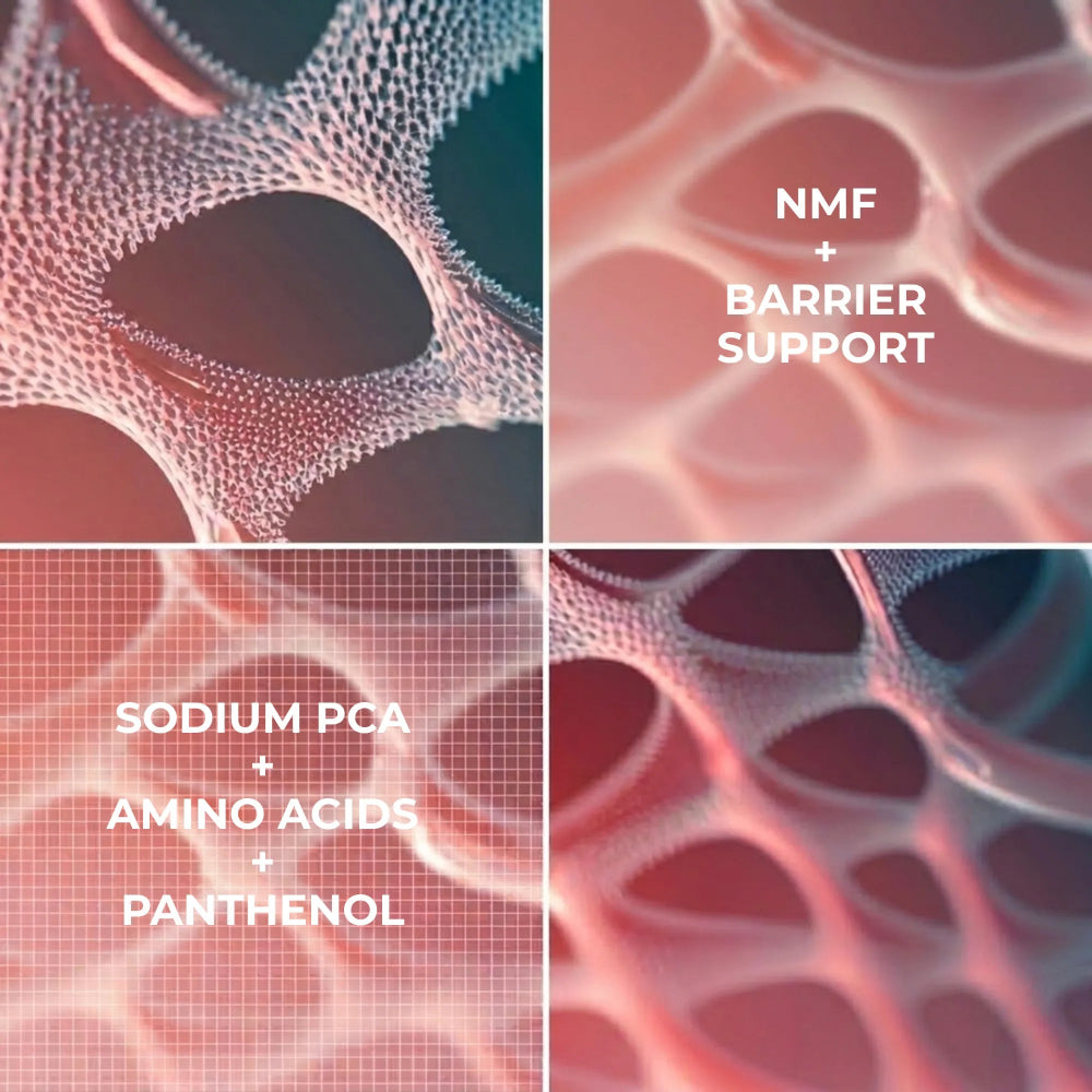 Diagram Showing Daydin Derma NMF+BArrier Support and Sodium PCA+Amino Acids+Panthenol