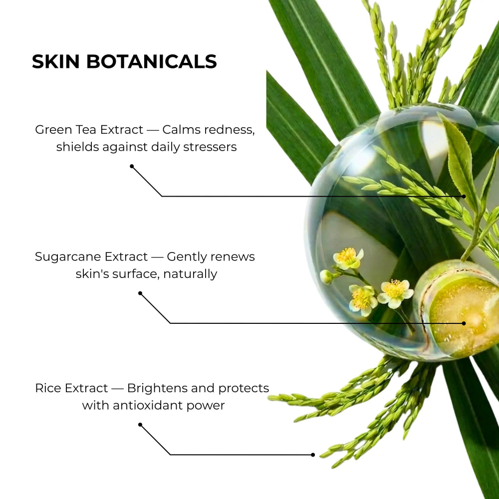 Diagram of skin botanicals with green tea, sugarcane, and rice extracts and their benefits by Daydin Derma