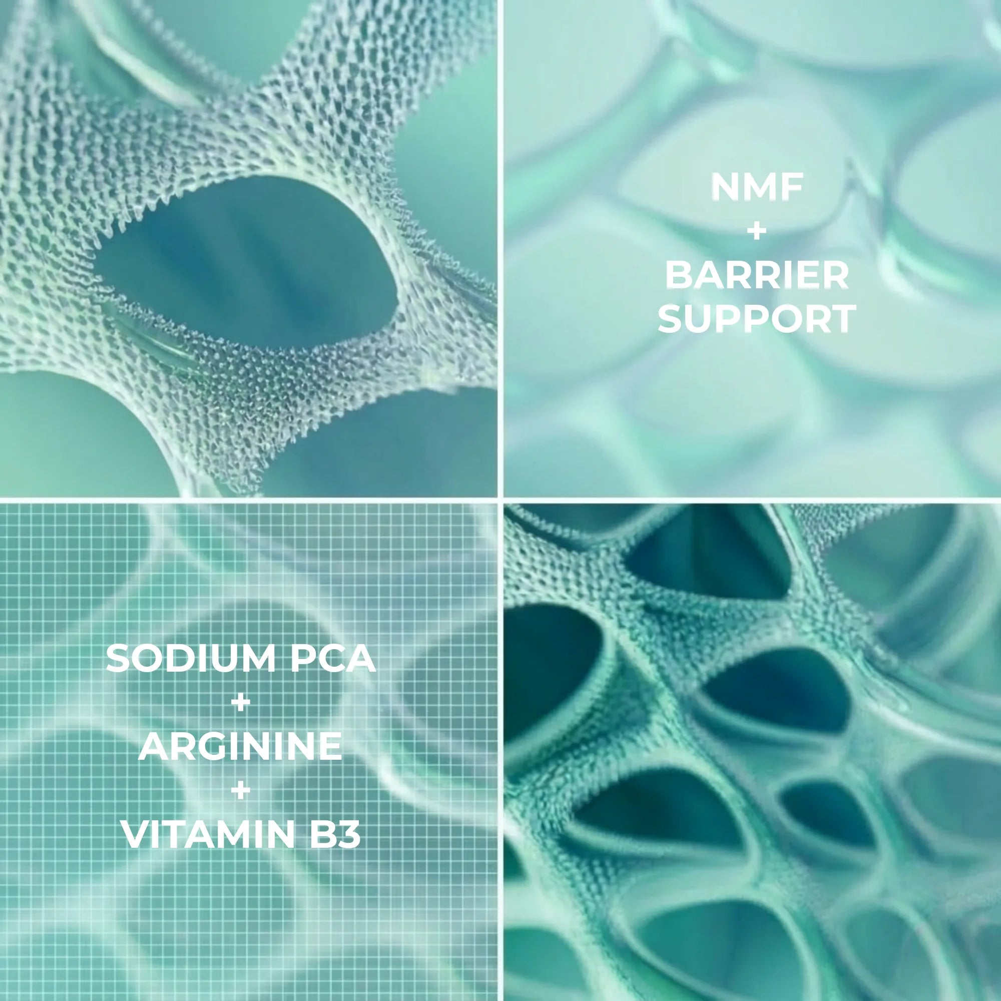 Text on a textured green background with 'NMF + Barrier Support' and 'Sodium PCA + Arginine + Vitamin B3 by Daydin Derma
